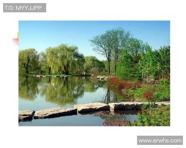 杭州羽毛球队技战术分析与控制得失的深度探讨